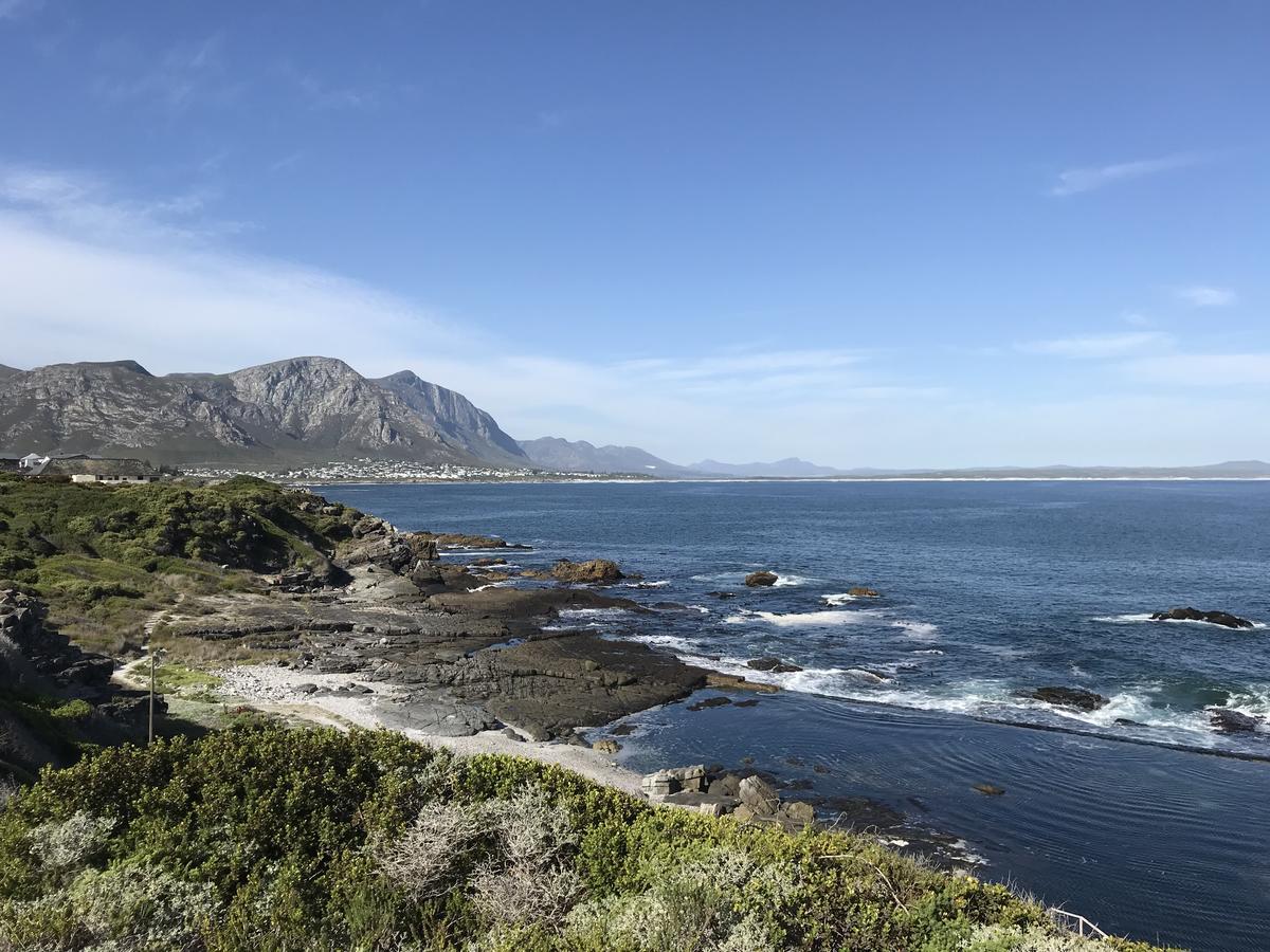 Francolin Manor Bed and Breakfast Hermanus Exteriör bild