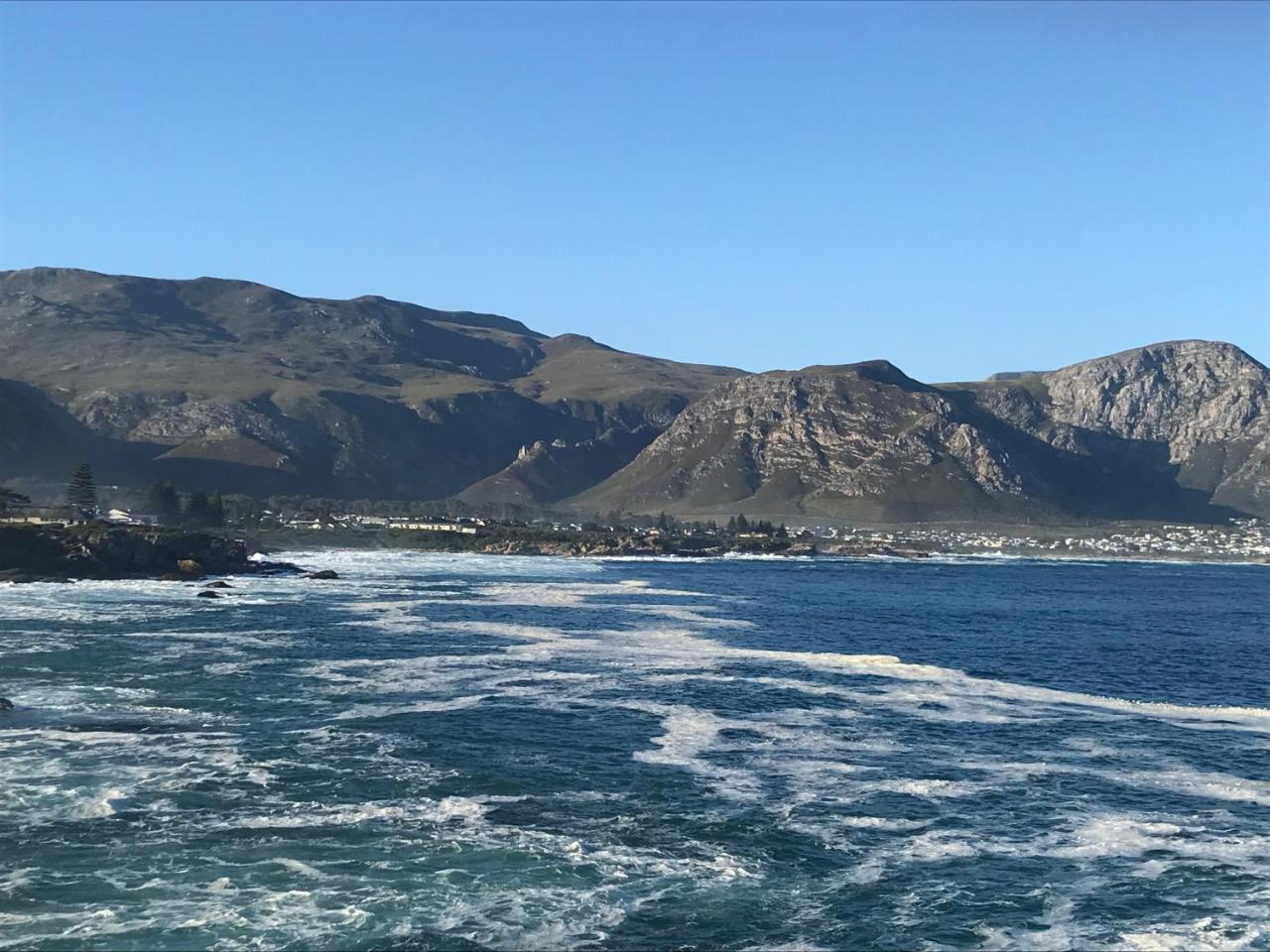 Francolin Manor Bed and Breakfast Hermanus Exteriör bild