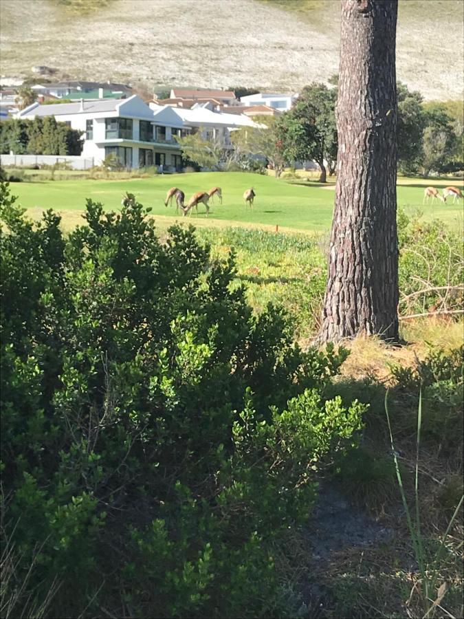 Francolin Manor Bed and Breakfast Hermanus Exteriör bild