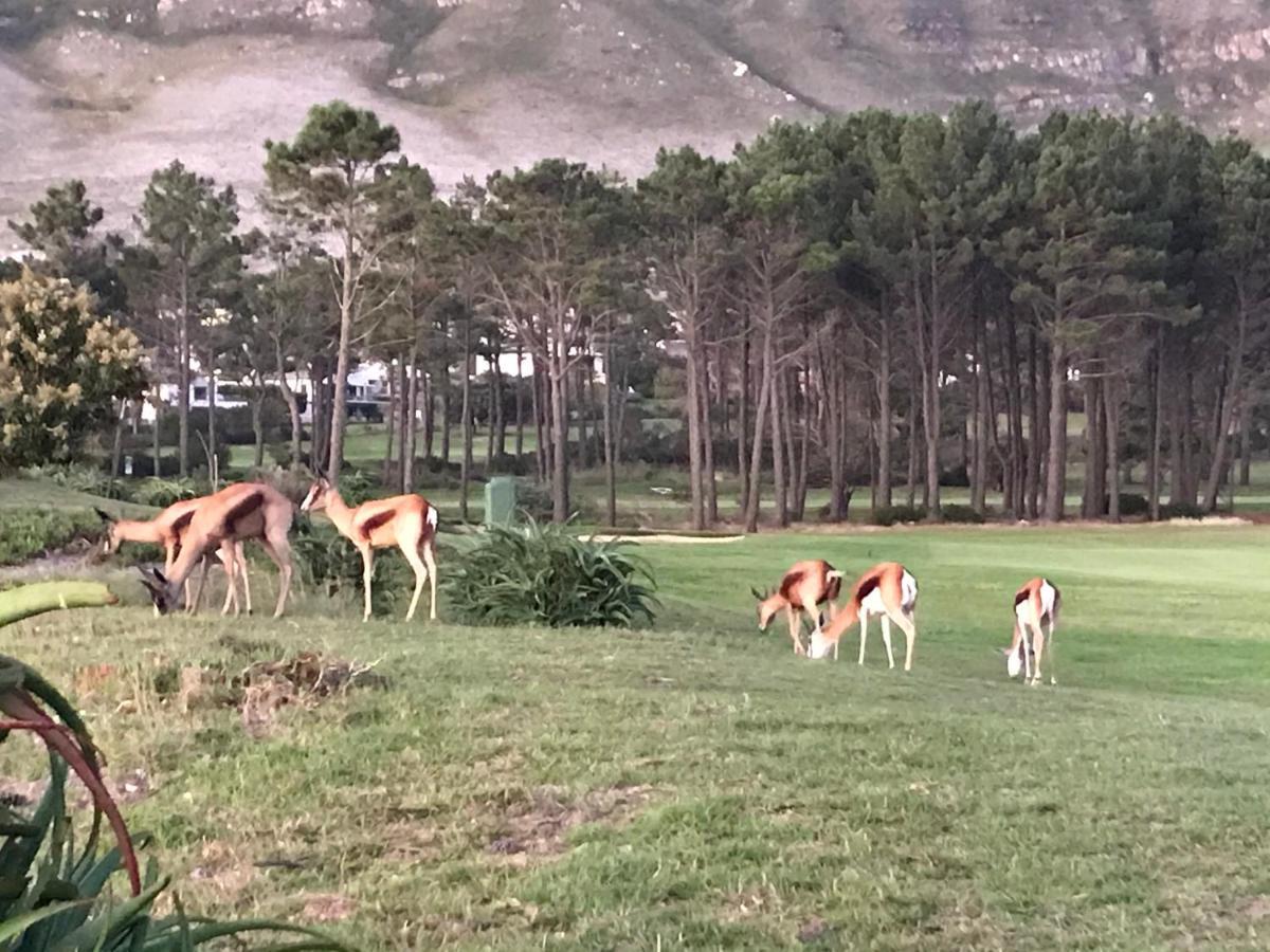 Francolin Manor Bed and Breakfast Hermanus Exteriör bild